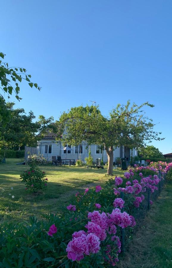 Villagatan Norrtälje Extérieur photo